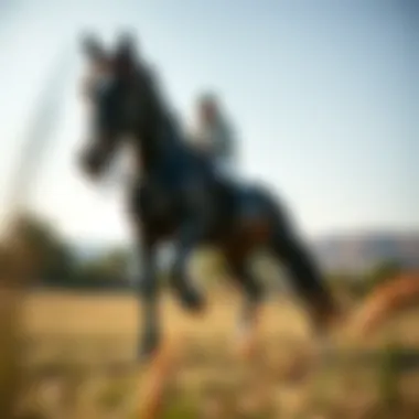Magnificent Exploring Equestrian Land for Sale in Dubai: Key Insights and Considerations Magnificent Exploring Equestrian Land for Sale in Dubai: Key Insights and Considerations