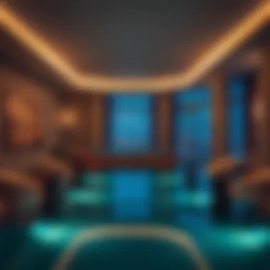 Exclusive Luxury Amenities of the Binary Tower Luxury amenities at the Binary Tower