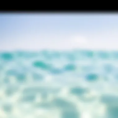 Crystal-Clear Waters of Alzora Beach Close-up of the crystal-clear waters of Alzora Beach