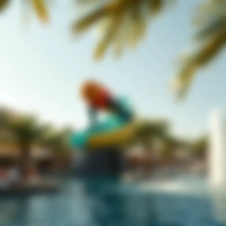 Notable Comprehensive Overview of Yas Island Water Park