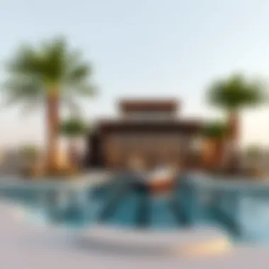 Evaluating the Investment Potential of Damac Lagoons Summary Evaluating the Investment Potential of Damac Lagoons Summary