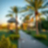 Lush green park in Ajman