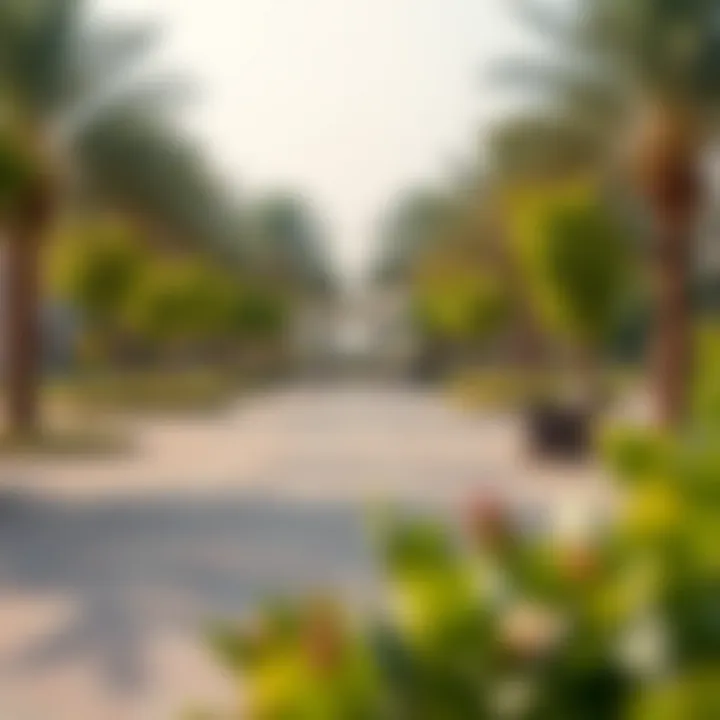 Recreational Space in Al Ghadeer Scenic park within Al Ghadeer offering recreational space for residents