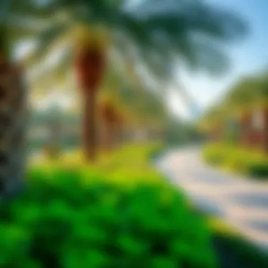 Lush Greenery of Al Mamzar Park An elegant park in Al Mamzar, featuring lush greenery and well-maintained pathways, perfect for leisurely walks.