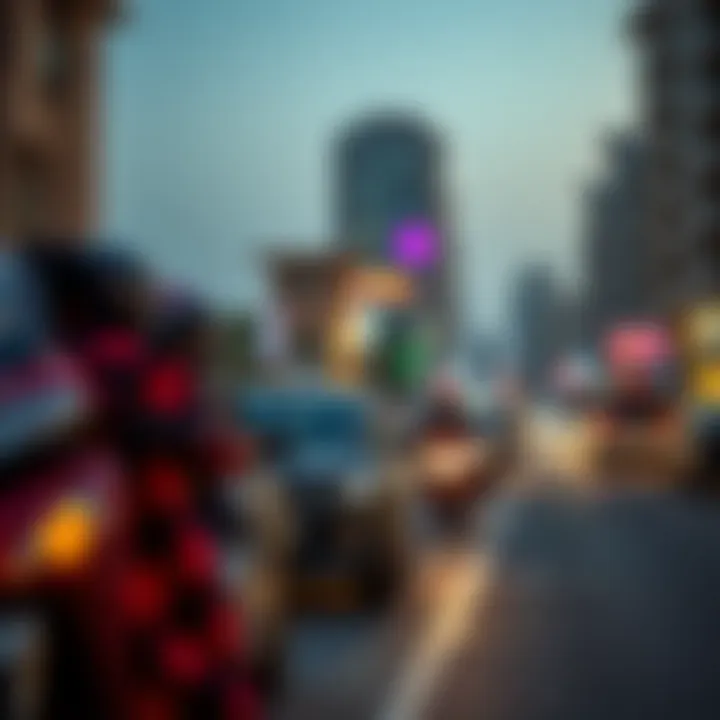 Vibrant community life along the Amer Sheikh Zayed Road