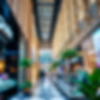 Inside Dubai Waterfall Mall, showcasing a vibrant retail space filled with luxury and local brands.