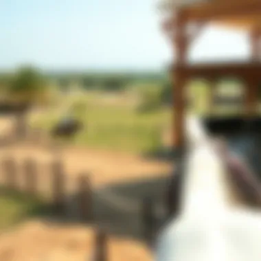 Exploring Equestrian Land for Sale in Dubai: Key Insights and Considerations Summary Exploring Equestrian Land for Sale in Dubai: Key Insights and Considerations Summary