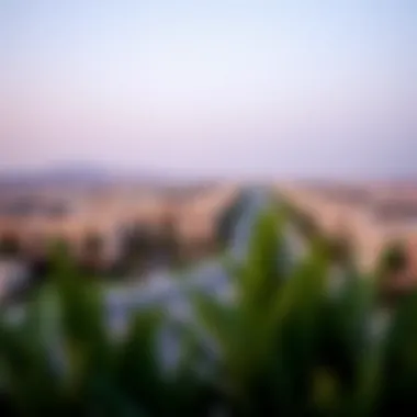 Panoramic view of Freej Al Majaz highlighting its investment potential