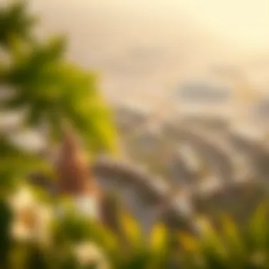 Aerial view of the Green Community in Dubai Investment Park