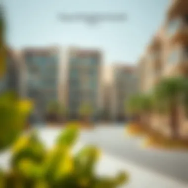 Popular Neighborhoods in Dubai Popular neighborhoods in Dubai showcasing one-bedroom flats