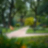 Exploring Public Parks Near Me Introduction