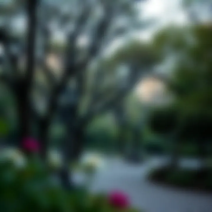 Exploring Public Parks Near Me Summary