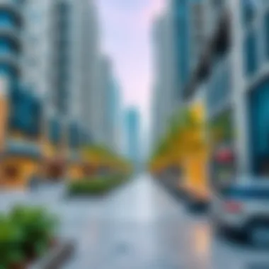 Vibrant Amenities in Business Bay Local amenities including shops and parks in Business Bay