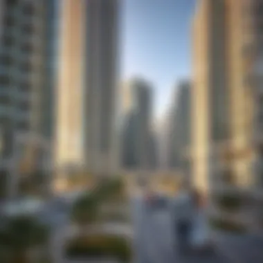 Notable Exploring Seapoint Emaar: A Comprehensive Analysis Notable Exploring Seapoint Emaar: A Comprehensive Analysis