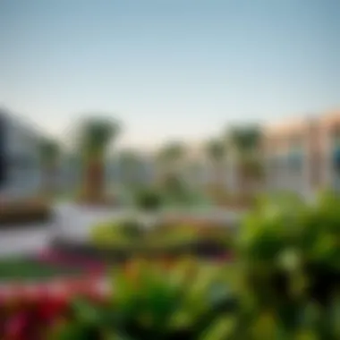Community Green Space in South Dubai Vibrant community park in South Dubai