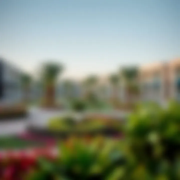 Community Green Space in South Dubai Vibrant community park in South Dubai