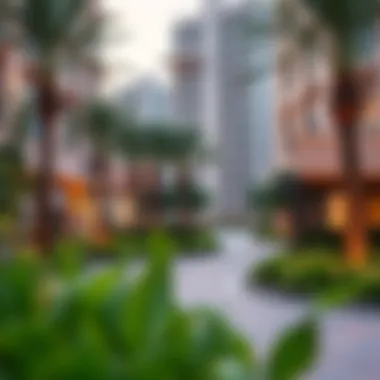 Vibrant Community Space Near Damac Ghalia Vibrant community space surrounding Damac Ghalia filled with greenery