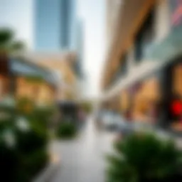 Exploring the Concept of Silicon Malls in Dubai's Real Estate Landscape Introduction