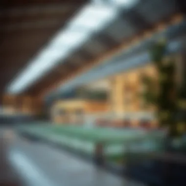 Exploring the Dynamics of a Sport City: A Comprehensive Analysis Summary Exploring the Dynamics of a Sport City: A Comprehensive Analysis Summary