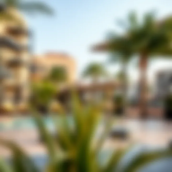 Vibrant community amenities in Cluster Q, JLT