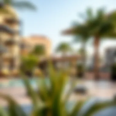 Community Amenities in Cluster Q Vibrant community amenities in Cluster Q, JLT