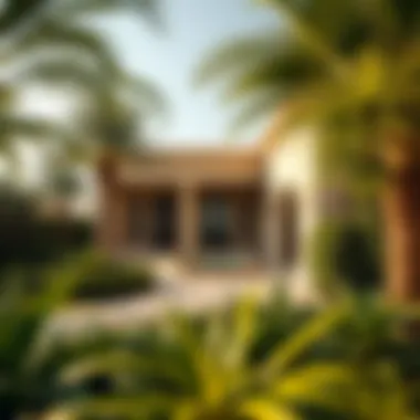 Lush Garden Surrounding a Stunning Villa Beautiful garden area surrounding a villa