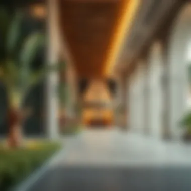 Exploring Warsan 2: A Comprehensive Insight into Dubai's Hidden Gem Summary Exploring Warsan 2: A Comprehensive Insight into Dubai's Hidden Gem Summary