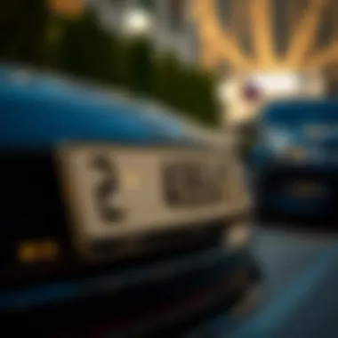 Factors Influencing Number Plate Choices Factors influencing number plate choices