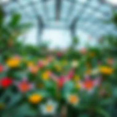 Exotic Flora in Green Planet Dubai A vibrant array of exotic flowers and plants within the biodome.