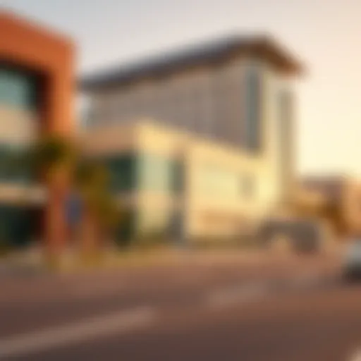 Visual representation of Dubai's free zone architecture