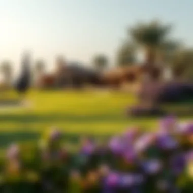 Notable In-Depth Examination of Jumeirah Golf Estates - The Earth Course Notable In-Depth Examination of Jumeirah Golf Estates - The Earth Course