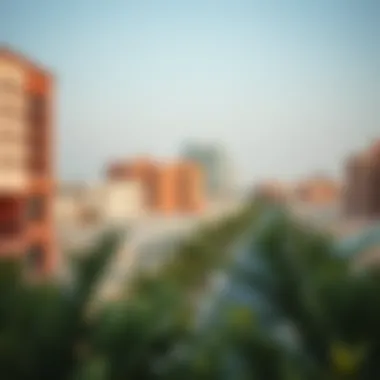 Emerging Neighborhoods in Dubai A bustling neighborhood representing emerging areas in Dubai