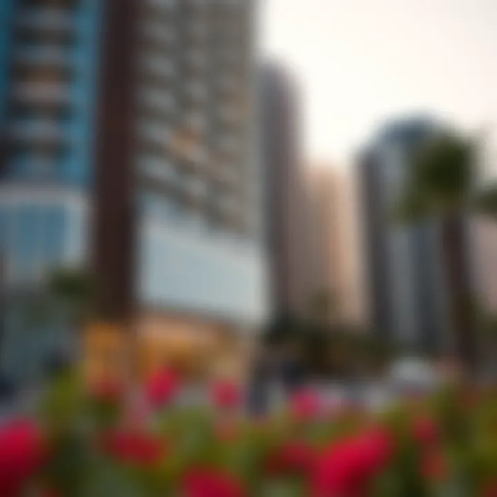 Investment Potential in JBR Investment opportunities in Jumeirah Beach Residence