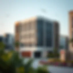 Rashidiya 3: A Comprehensive Exploration of Dubai's Emerging Neighborhood Introduction