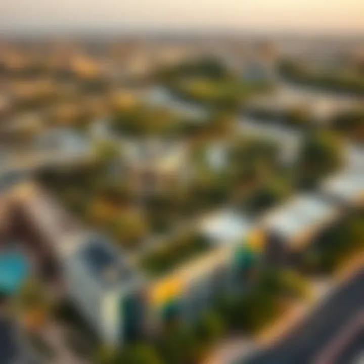 Aerial view of Saqr Park showcasing its lush greenery and surrounding urban landscape