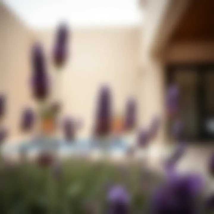 Wellness spa utilizing lavender for relaxation and rejuvenation