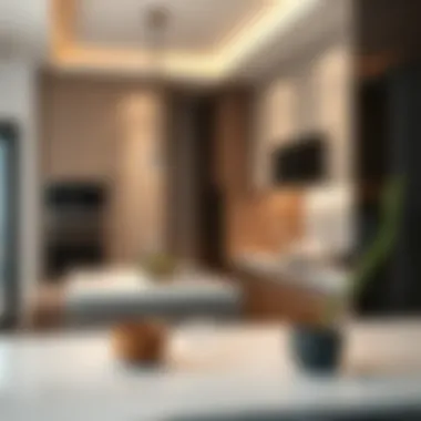 Elegant kitchen design highlighting contemporary renovation trends